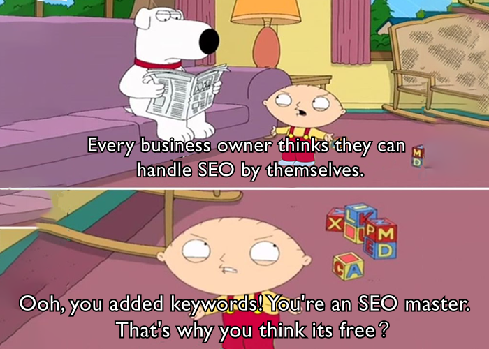 Best Customized Strategies of SEO Companies in Coimbatore A cartoon dog on a couch with the words, All business owners believe they can do SEO on their own.