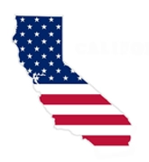 SEO Services In California For Your Business Growth