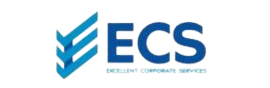 Accounting Firm  And Tax Filling Company SEO Services in India